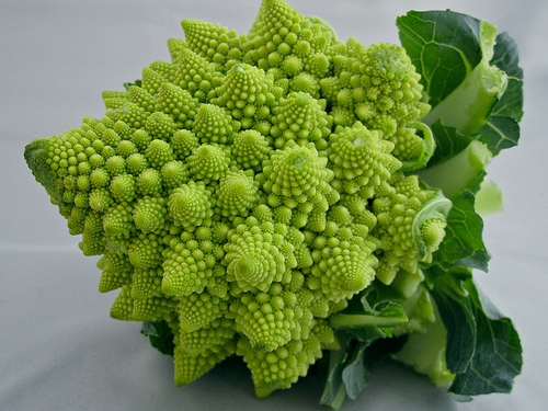 Romanesco Broccoli